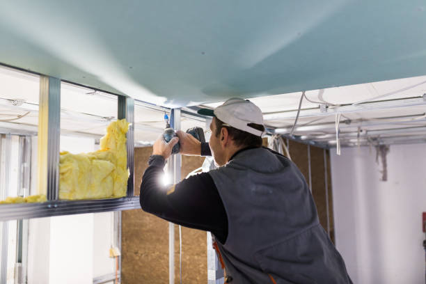 Best Specialized Insulation Services in Solomons, MD