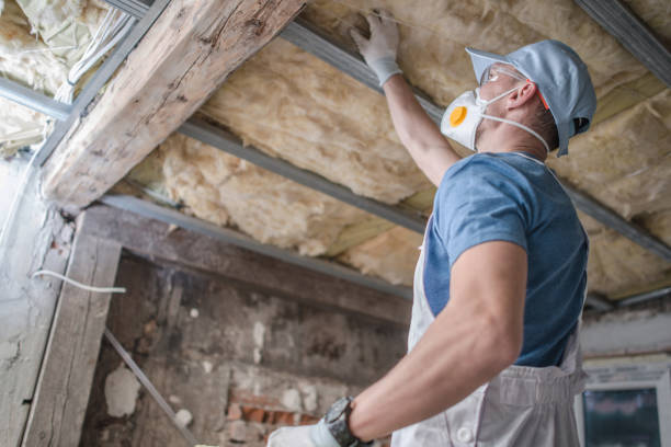 Best Specialized Insulation Services in Solomons, MD