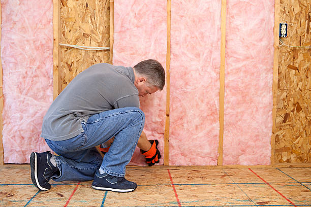 Types of Insulation We Offer in Solomons, MD