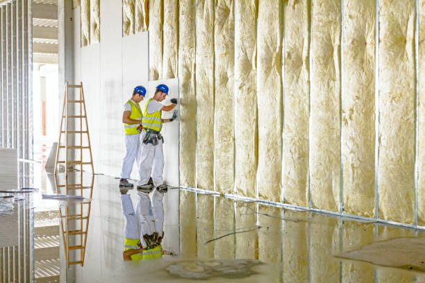 Professional Insulation Contractor in Solomons, MD